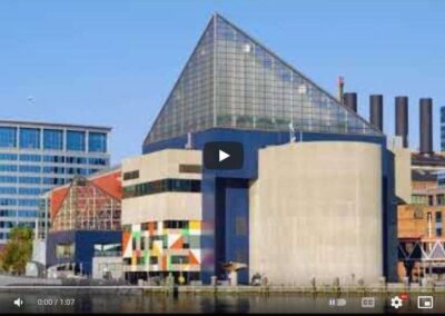 National Aquarium glass video clips