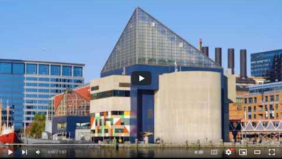 National Aquarium glass video clips