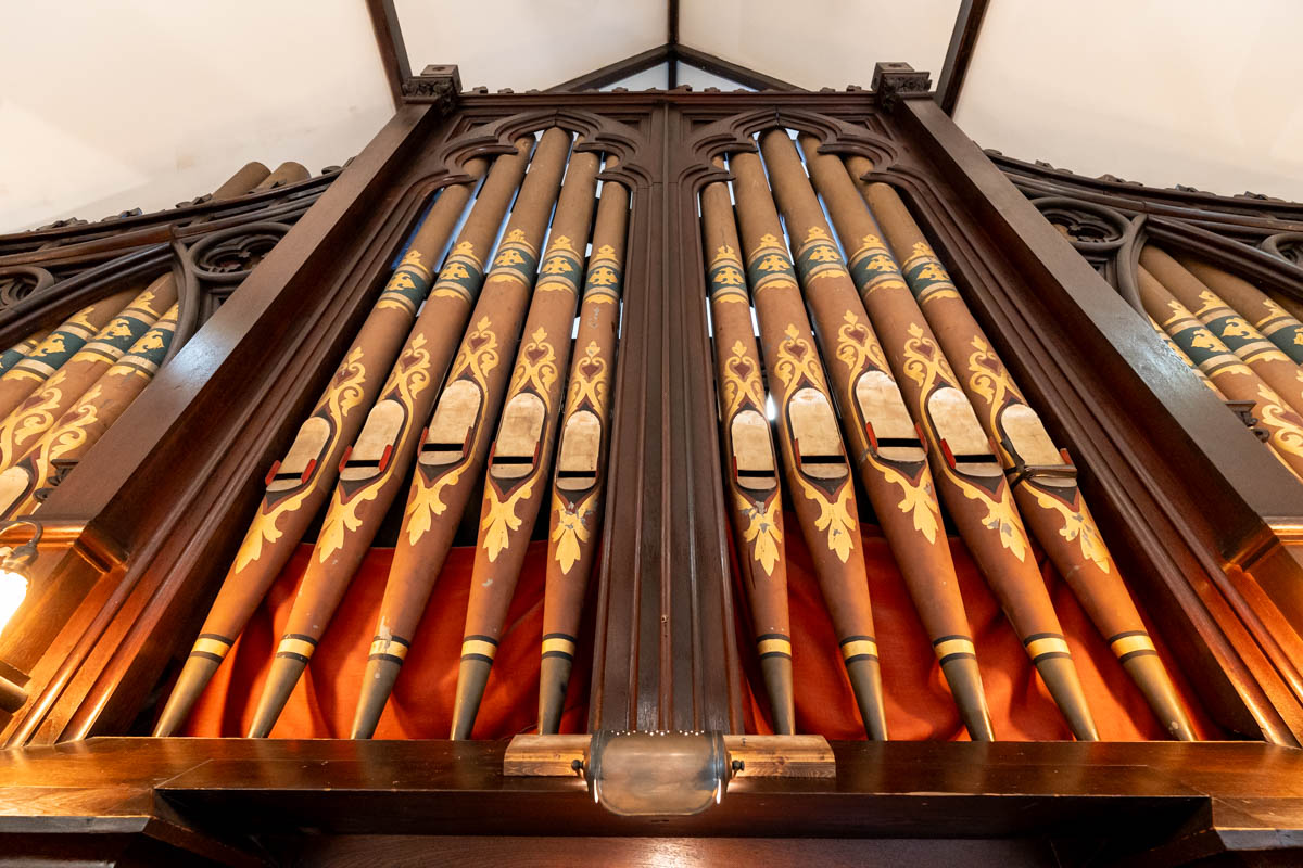 Upward view of large organ